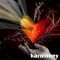 Next Album : Karmony